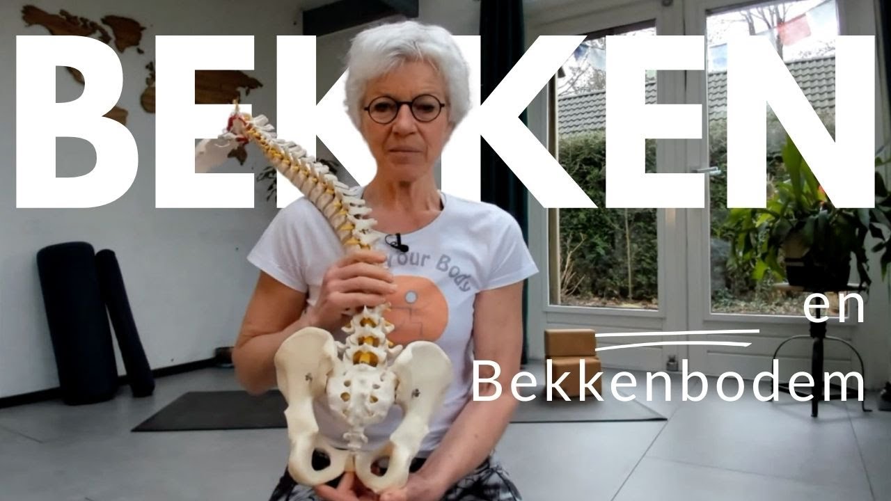 Bekkenbodem Basics: Anatomie, Functie en Oefeningen voor een Vitaal Lichaam