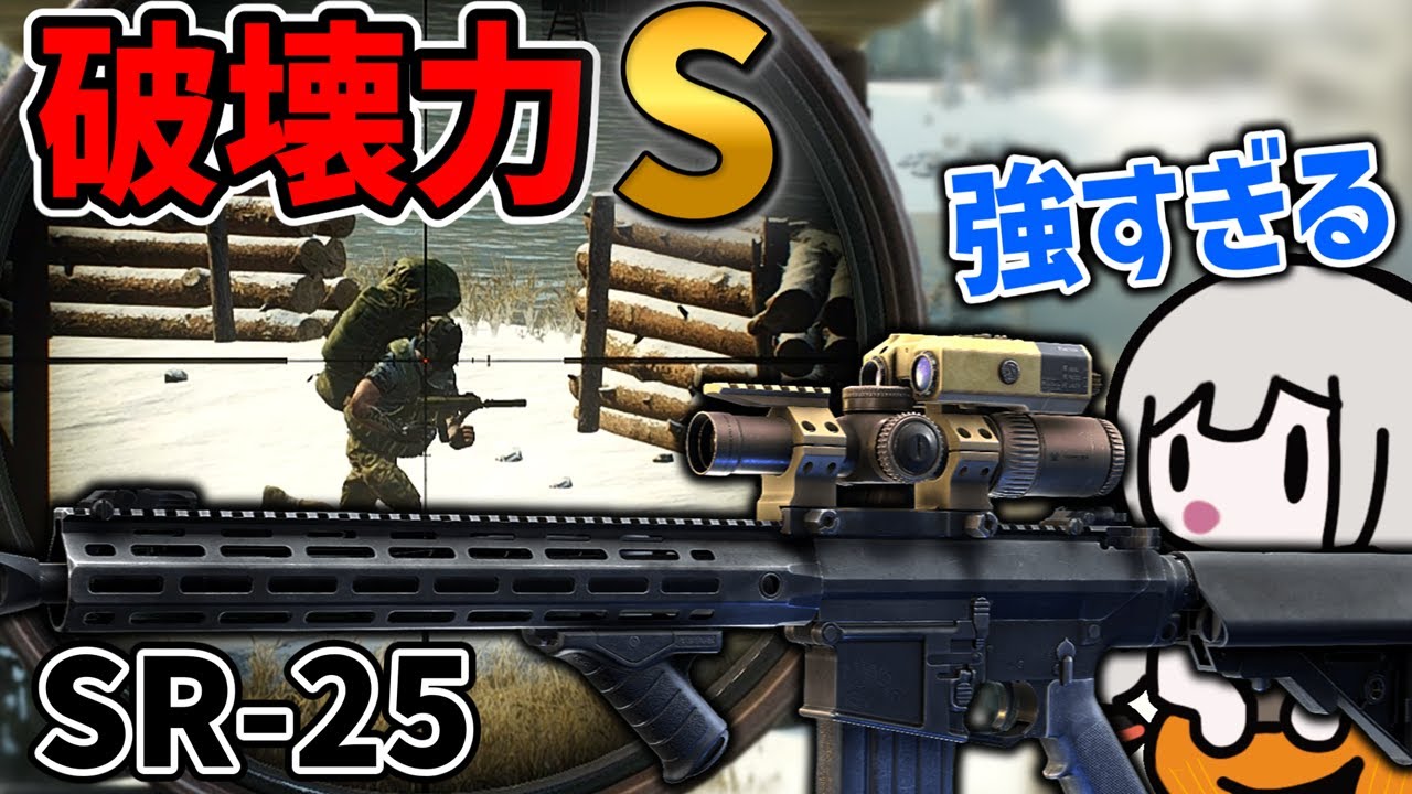 【EFT】精度ヨシ、破壊力MAXのSR-25が強すぎる【タルコフ】【紲星あかり・ボイロ実況】