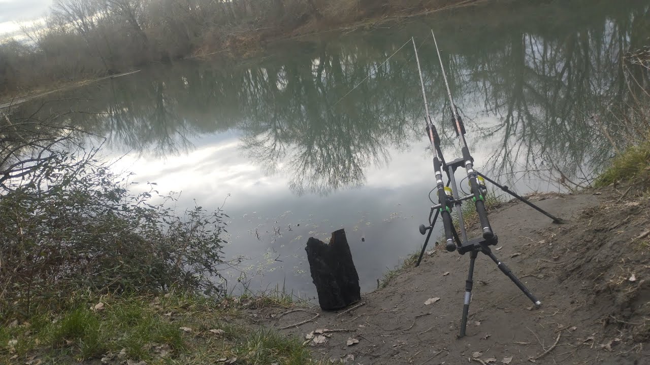 Pêche rapide du silure en rivière 