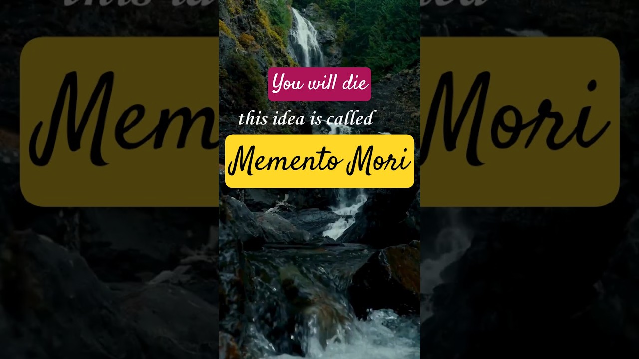You Will Die. Now What? #mementomori #death #philosophy #realitycheck  #life #psychology #awakening