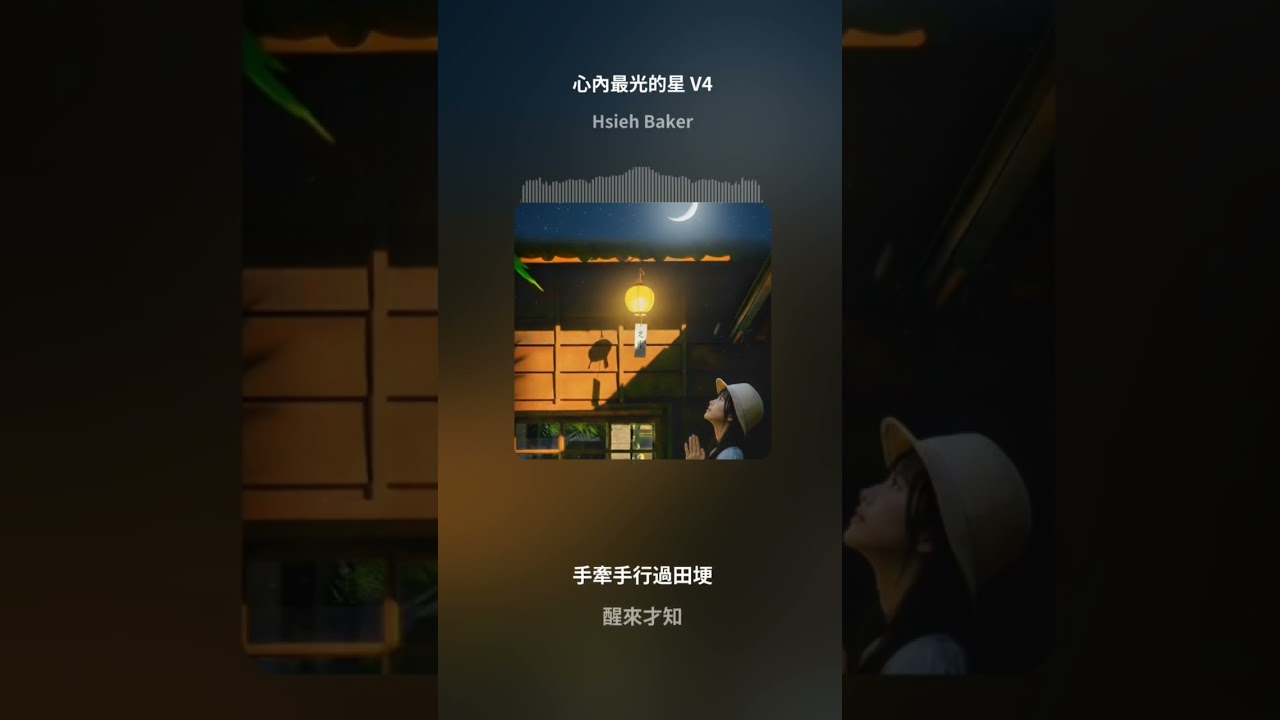 心內最光的星-- 好聽的台語歌