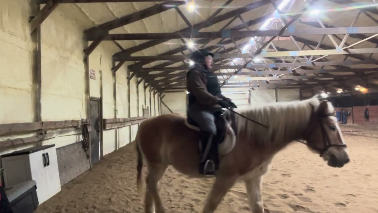 Swedes sweet canter. Loved the ride today. 1.31.26