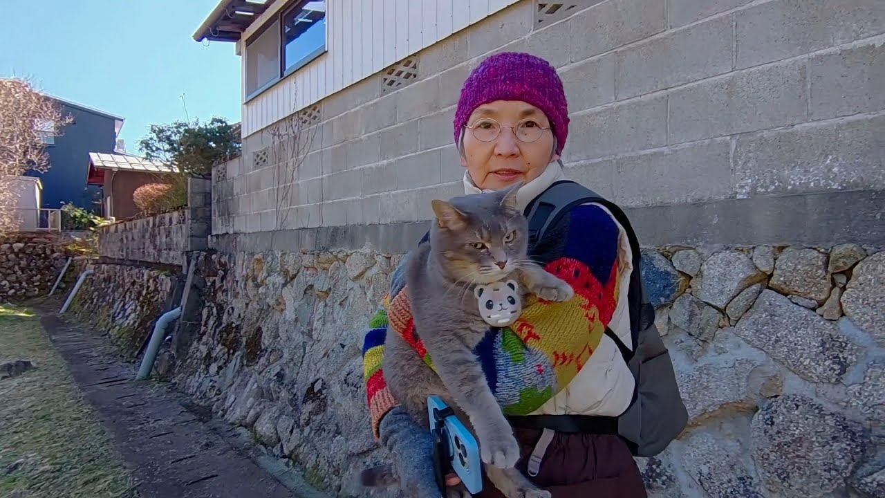 おばあちゃんに誘われ外に出て.. 昨日と同じコースを歩き登った木は梅だと分かり.. 春の陽射しと息吹きを感じて抱っこされてドローンと一緒に戻る猫…【さっちゃんとおばあちゃんの散歩・1158日目】・・・