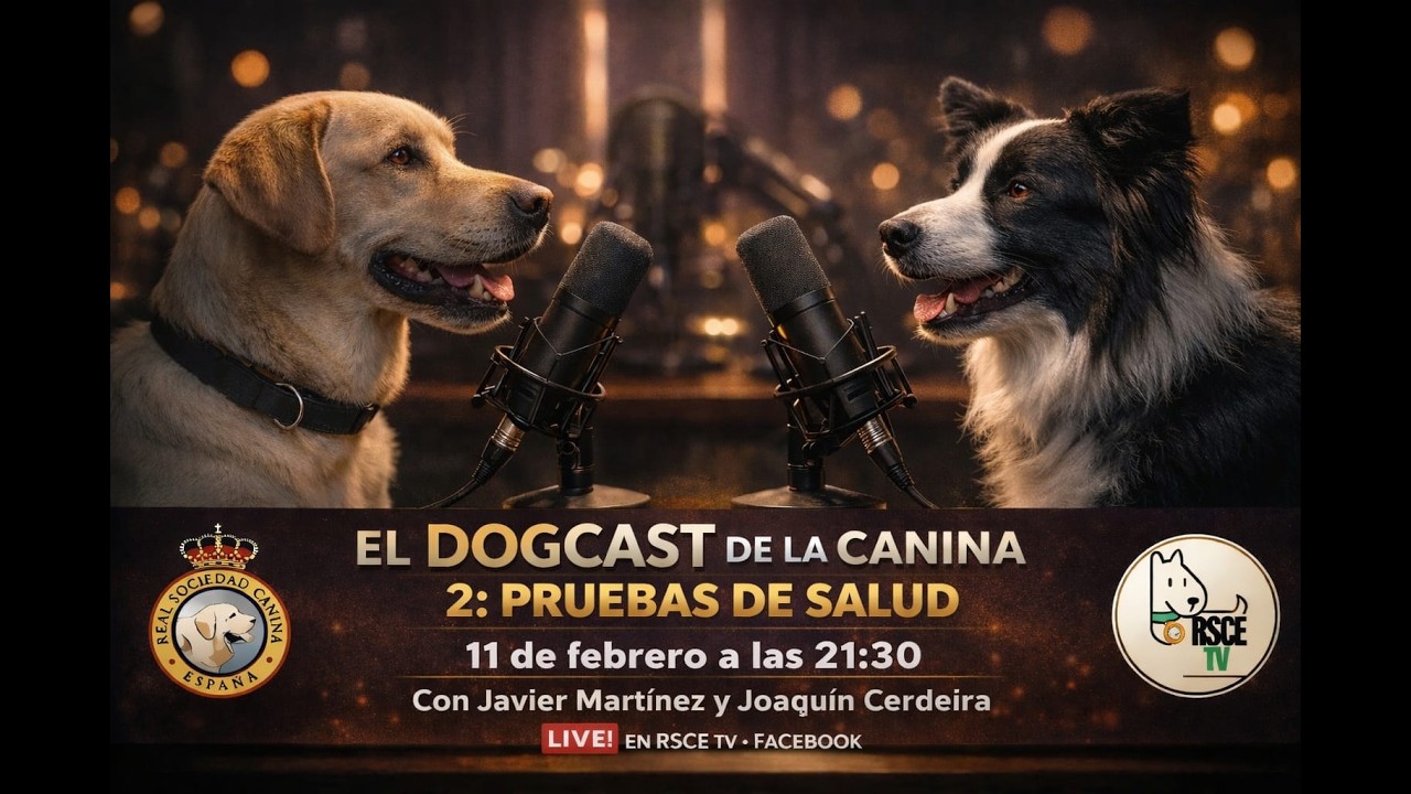 #2 El Dogcast de La Canina: Pruebas de Salud