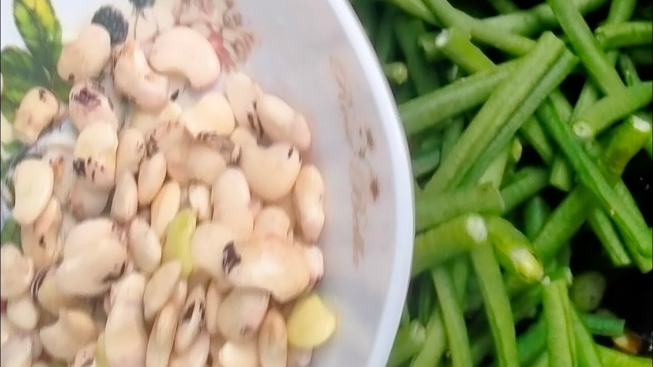health is wealth