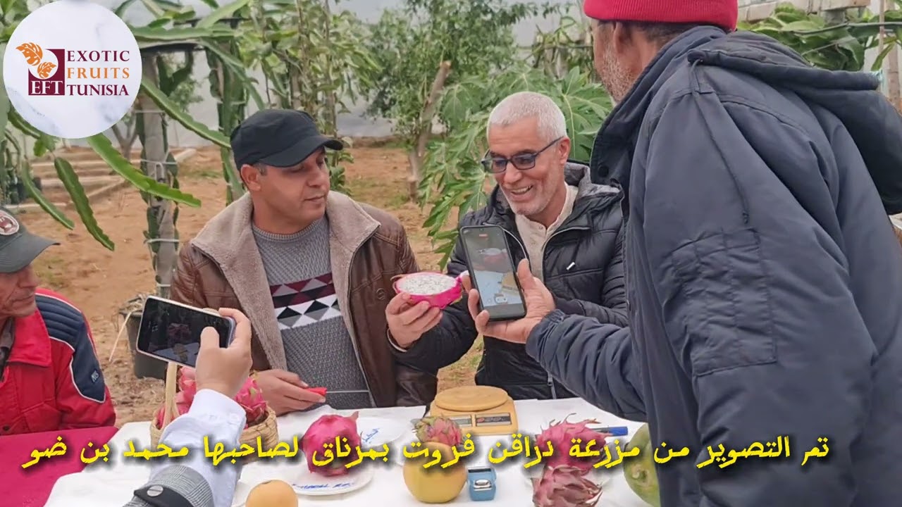 @efttunisia 