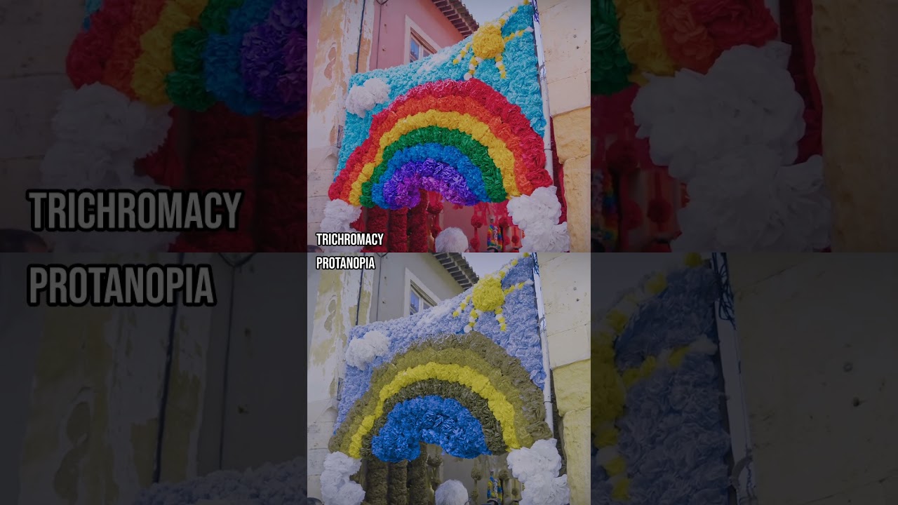 How do those with colour blindness perceive the Festa dos Tabuleiros?
