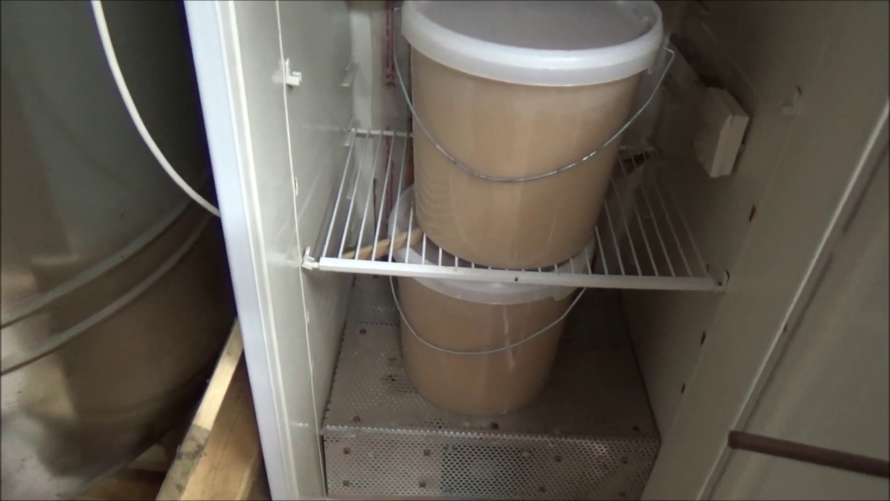 Cremigen Honig abfüllen mit der Mikrowelle 1 von 2