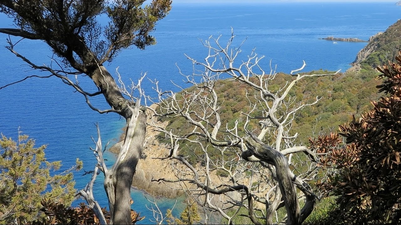 Le tour d'une &icirc;le d'Or - Port-Cros