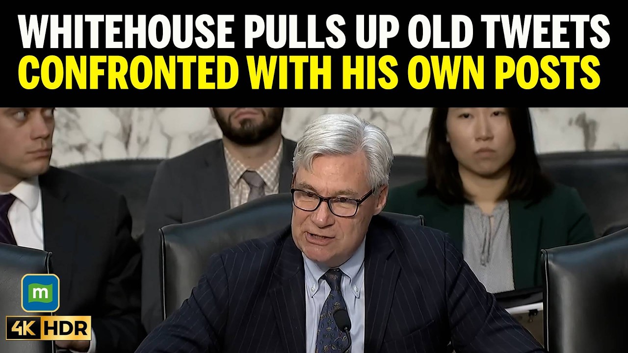 Свидетель на слушаниях в юридическом комитете лишился дара речи, когда сенатор Уайтхаус предъявил...