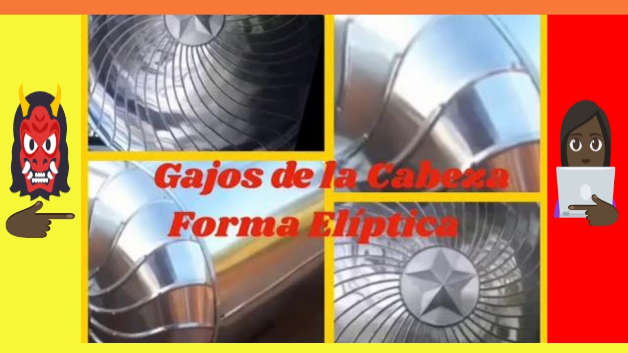 ALEDONPA gajos de Cabeza en forma elíptica