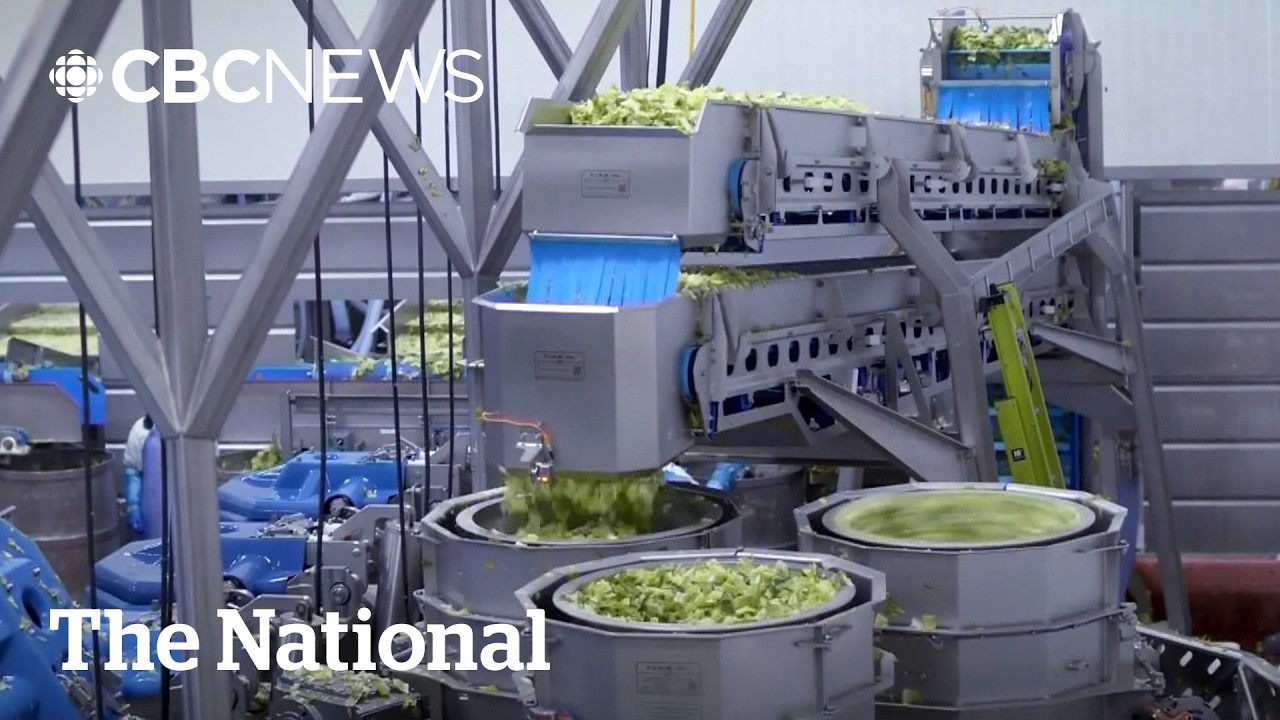 Explosive diarrhea culprit is Taylor Farms lettuce from Mexico: U.S. officials