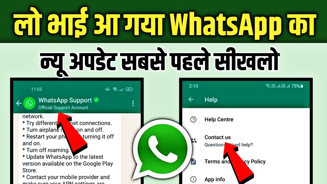 WhatsApp Official Support Account
