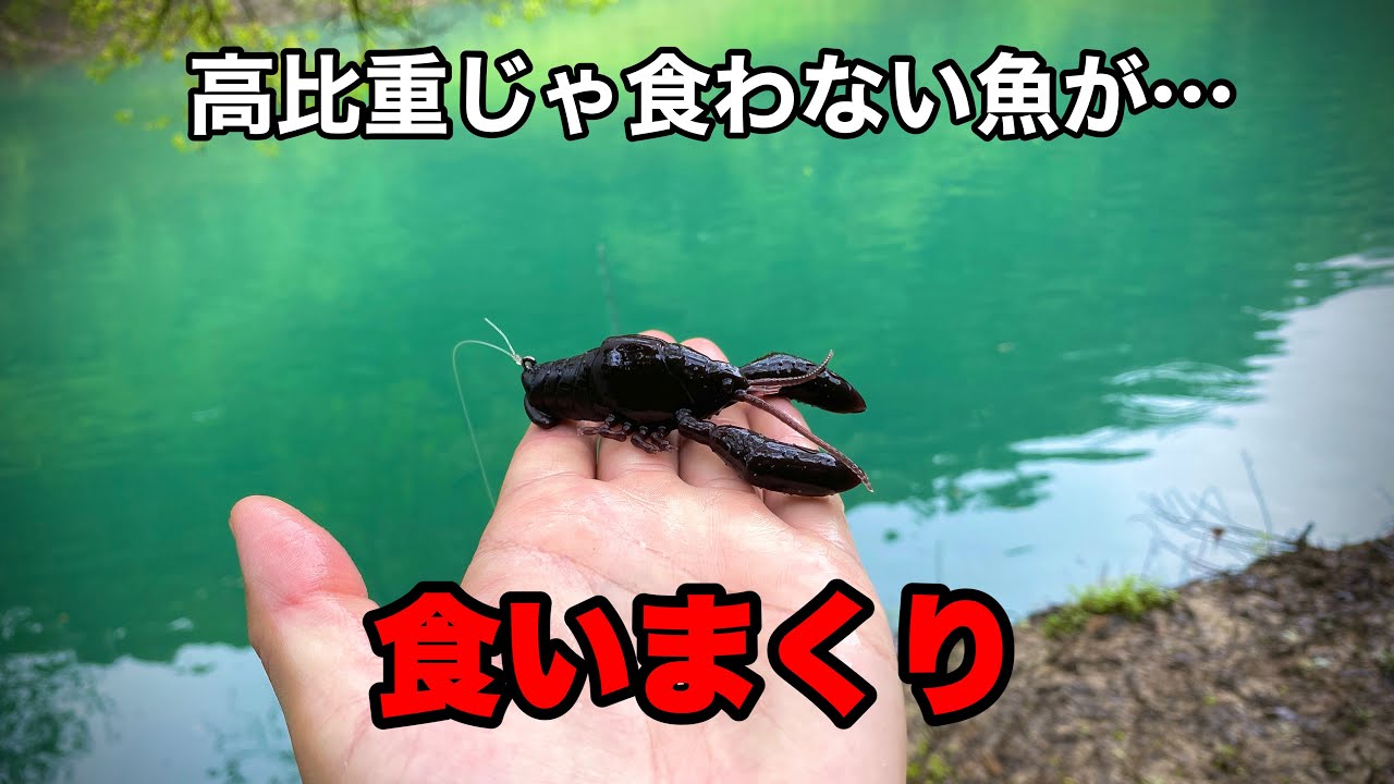 このザリガニワーム、ガチで釣れるのでとりあえず見てください