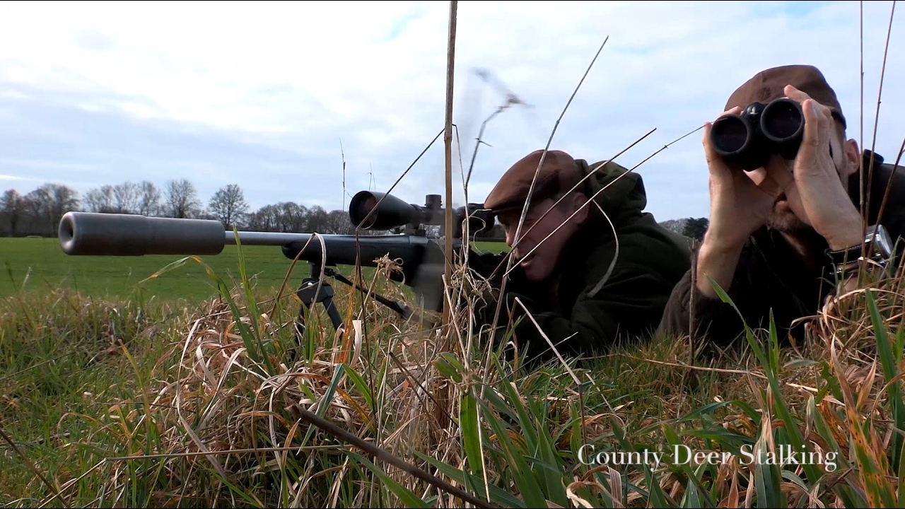 Following Up Wounded Deer