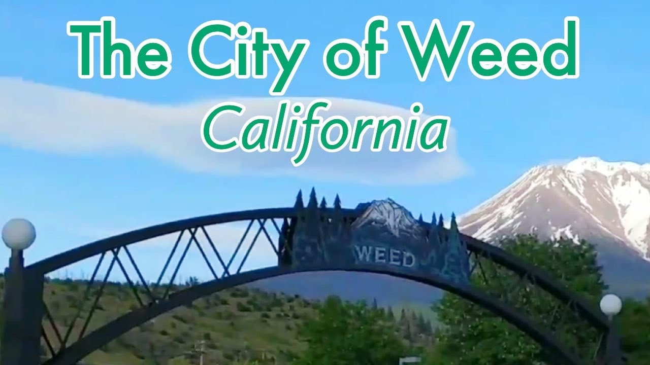 The City of Weed, California. The Weed Store & World Famous T-Shirts! Siskiyou County, CA