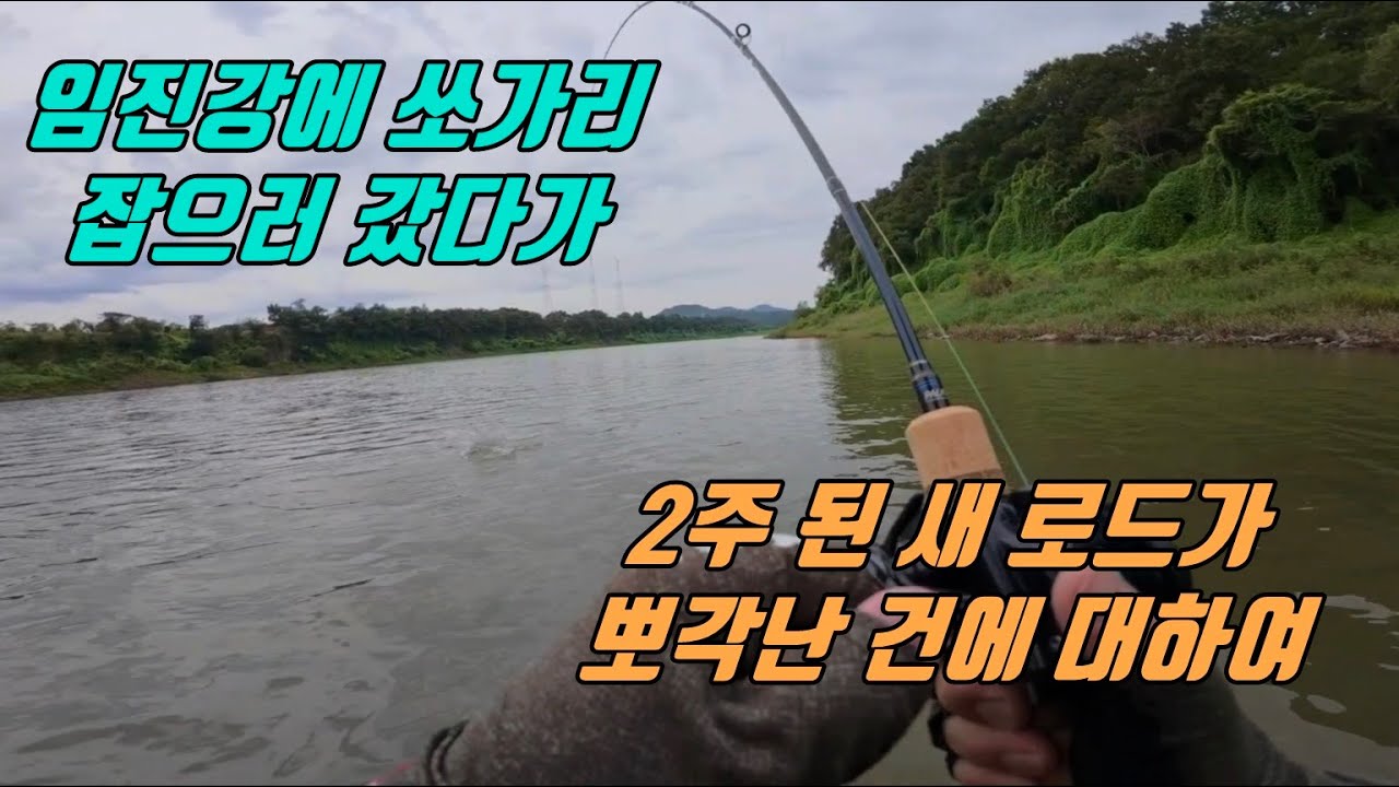 임진강 대물에 새 로드가 뽀각 나 버린 사연에 대해