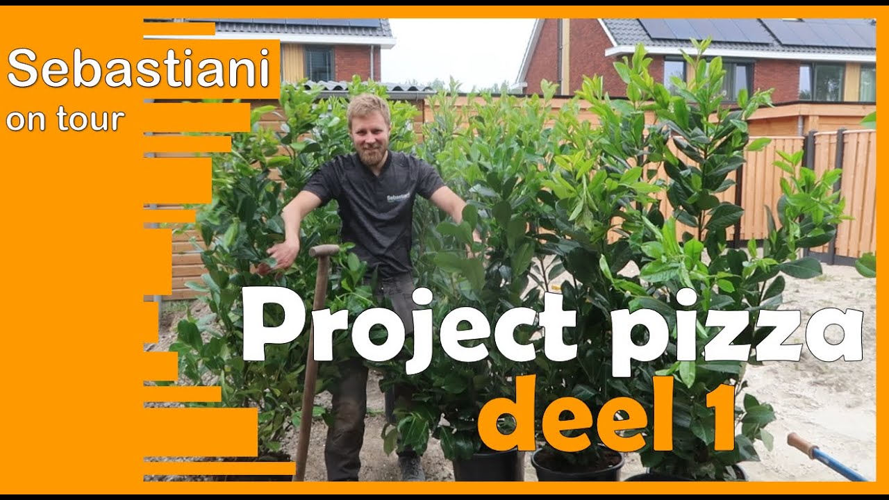 project pizza - deel 1 - SEBASTIANI hoveniers ON TOUR