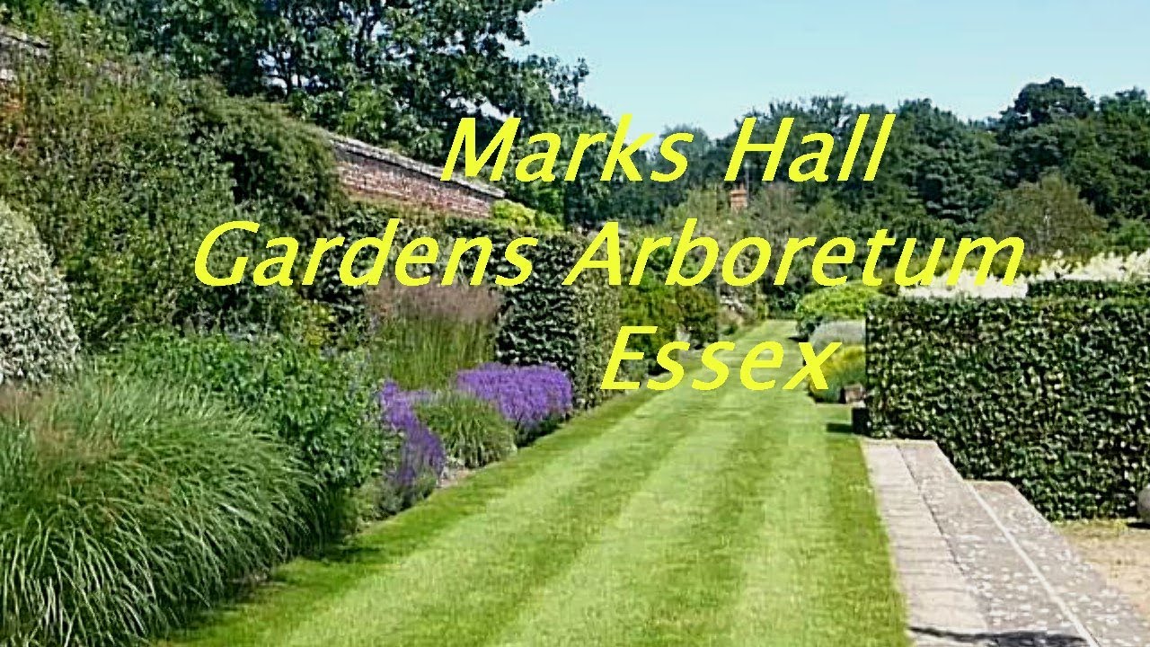 Marks Hall Gardens & Arboretum, Essex