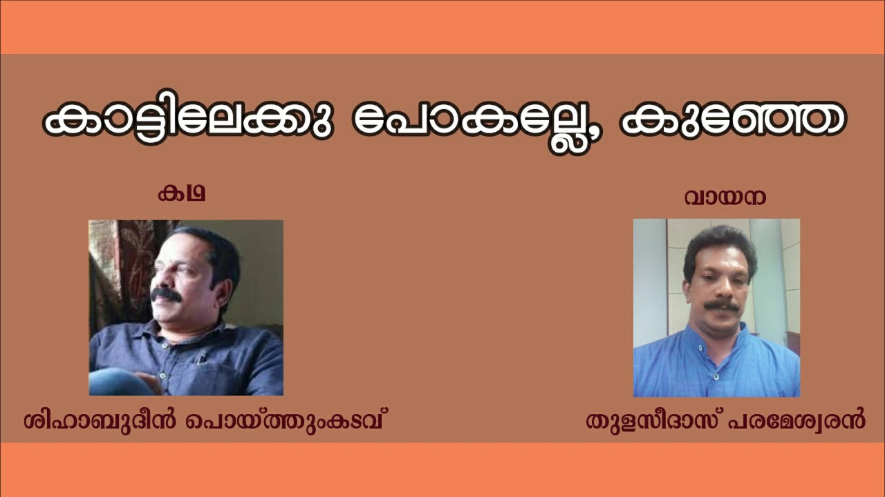 ശിഹാബുദ്ദീൻ  പൊയ്ത്തുംകടവ് |  കാട്ടിലേക്കു  പോകല്ലേ, കുഞ്ഞേ |  കഥ | shihabuddin poythumkadavu |