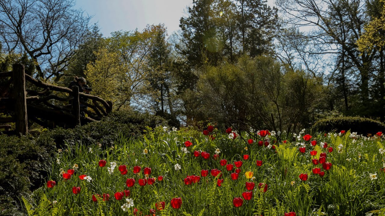 Weekly Walk: Shakespeare Garden