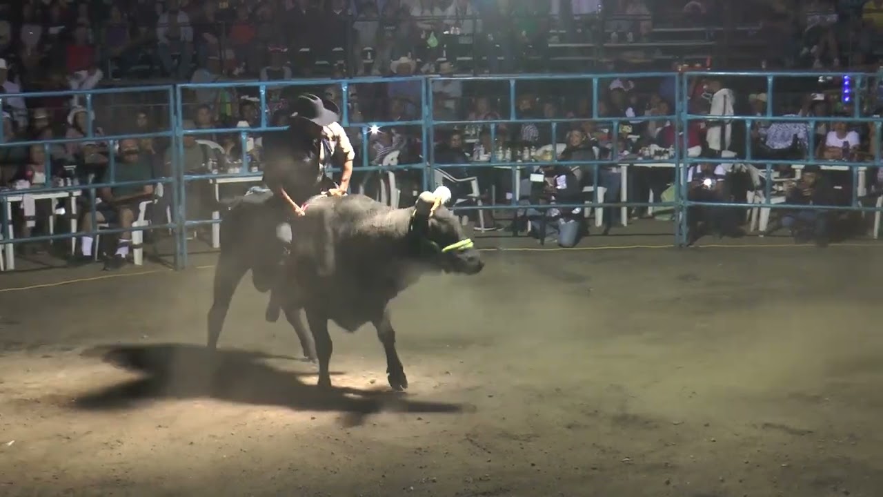 JARIPEO PLAN DEL VERGEL 2023 By graphix