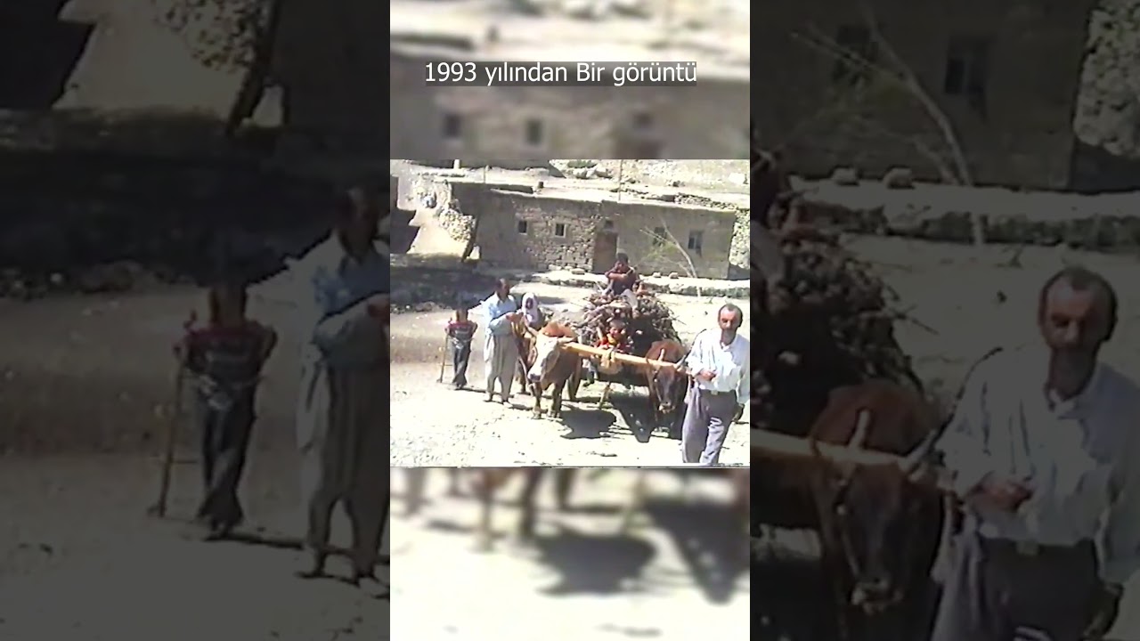 1993 yılından bir g&ouml;r&uuml;nt&uuml; - &Ouml;k&uuml;z arabasıyla taşınan odunlar  #shortvideo #shorts #&ouml;k&uuml;zarabası #kagnı