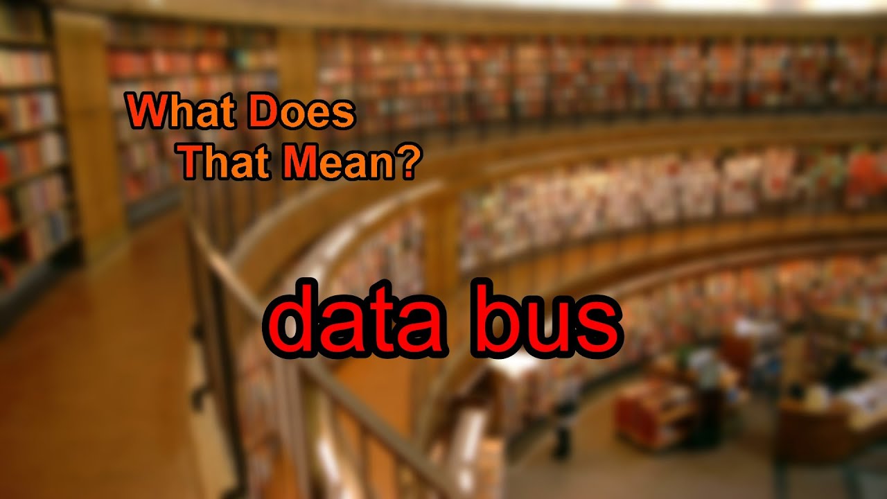 What does data bus mean?