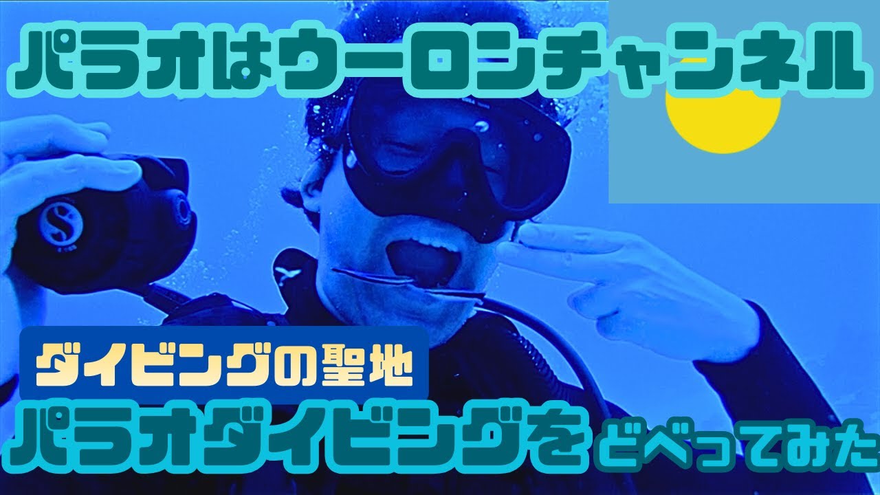 【ミクロネシアひとり旅】パラオダイビングどべり２