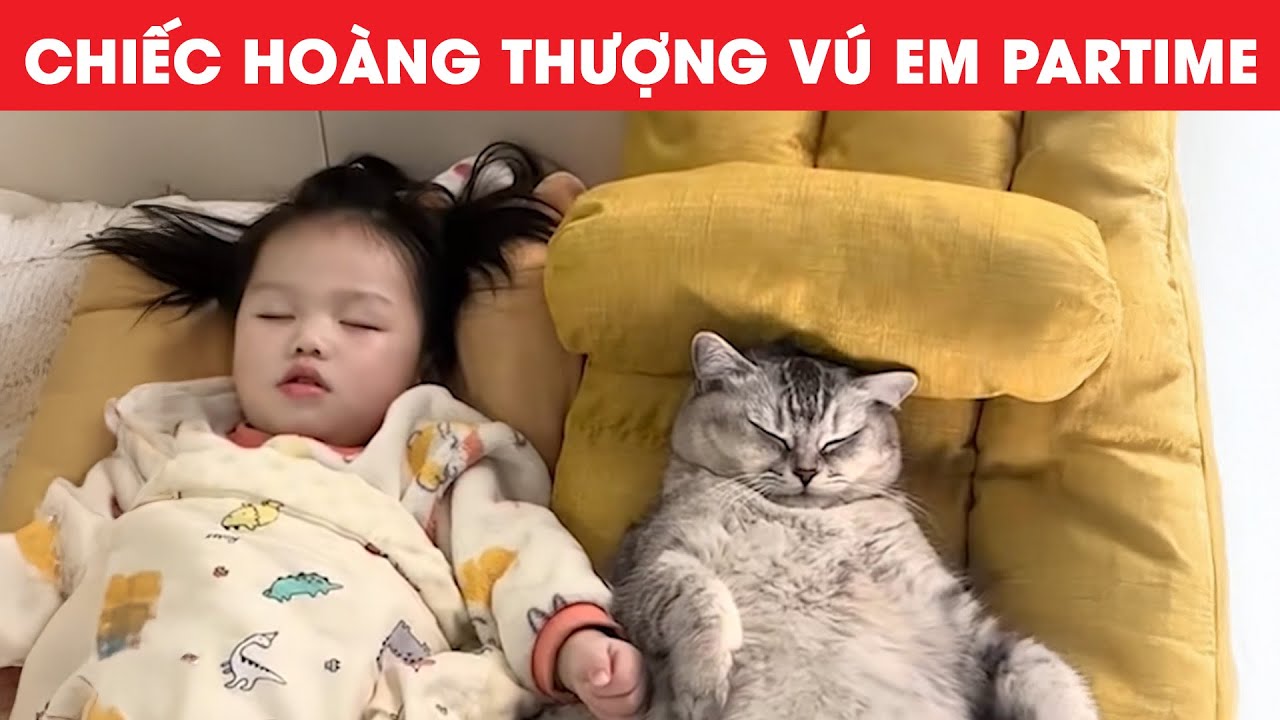 THẬT QUÁ LÀ ĐÁNG YÊU #video #videohàihước #buồncười #đángyêu #hoàngthượng #mèo