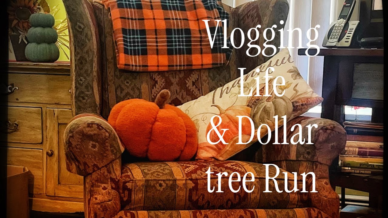 From Two to a Few/ Vlog Style & Dollar Tree Finds / Sharing My Crazy Life Part 1 