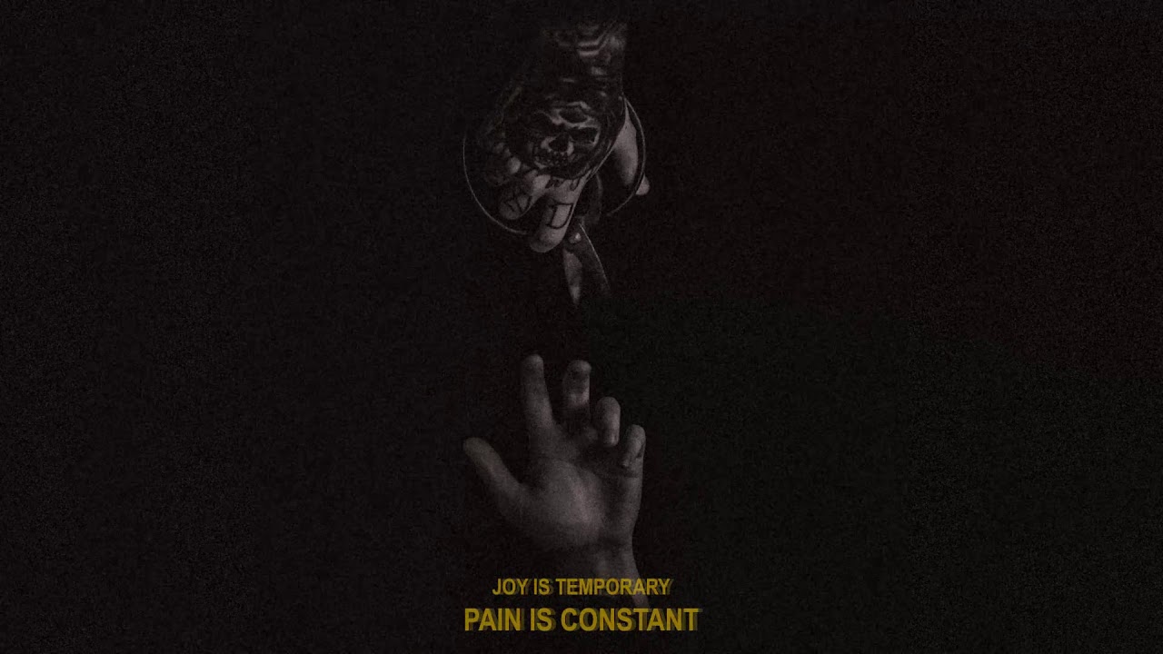 PALESKIN - Joy Is Temporary