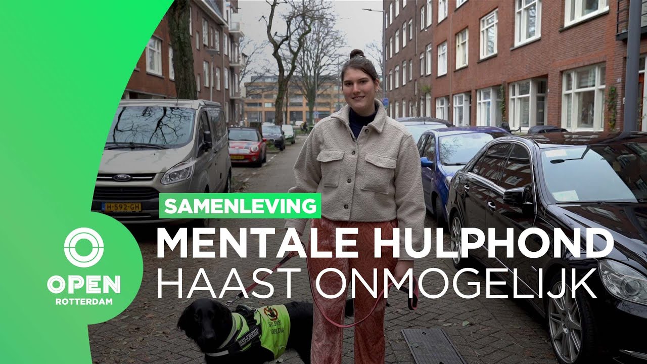 Rotterdam weigert vergoeding hulphond bij psychische klachten