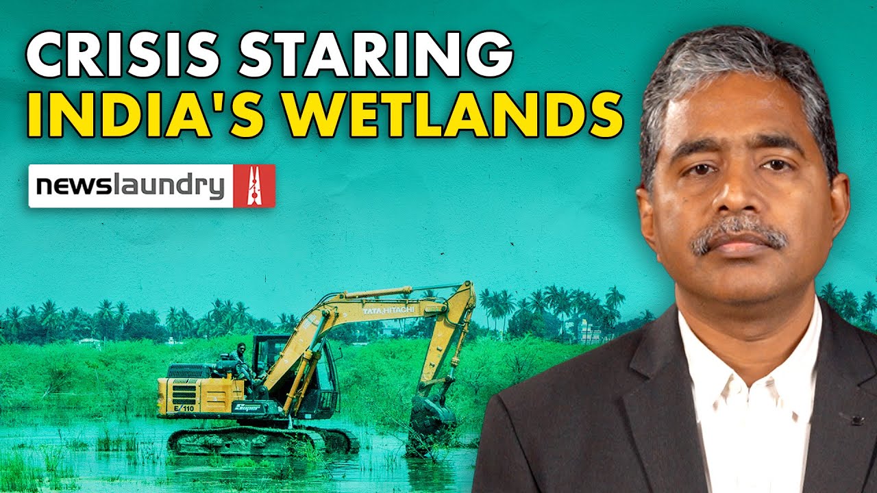 Wetland or ‘wasteland’: Why India needs to conserve this fast vanishing ecosystem