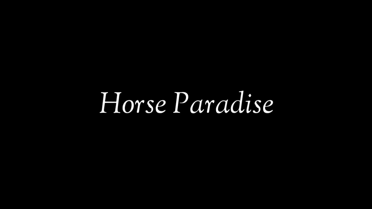 Новичок vs Про [HORSE PARADISE]