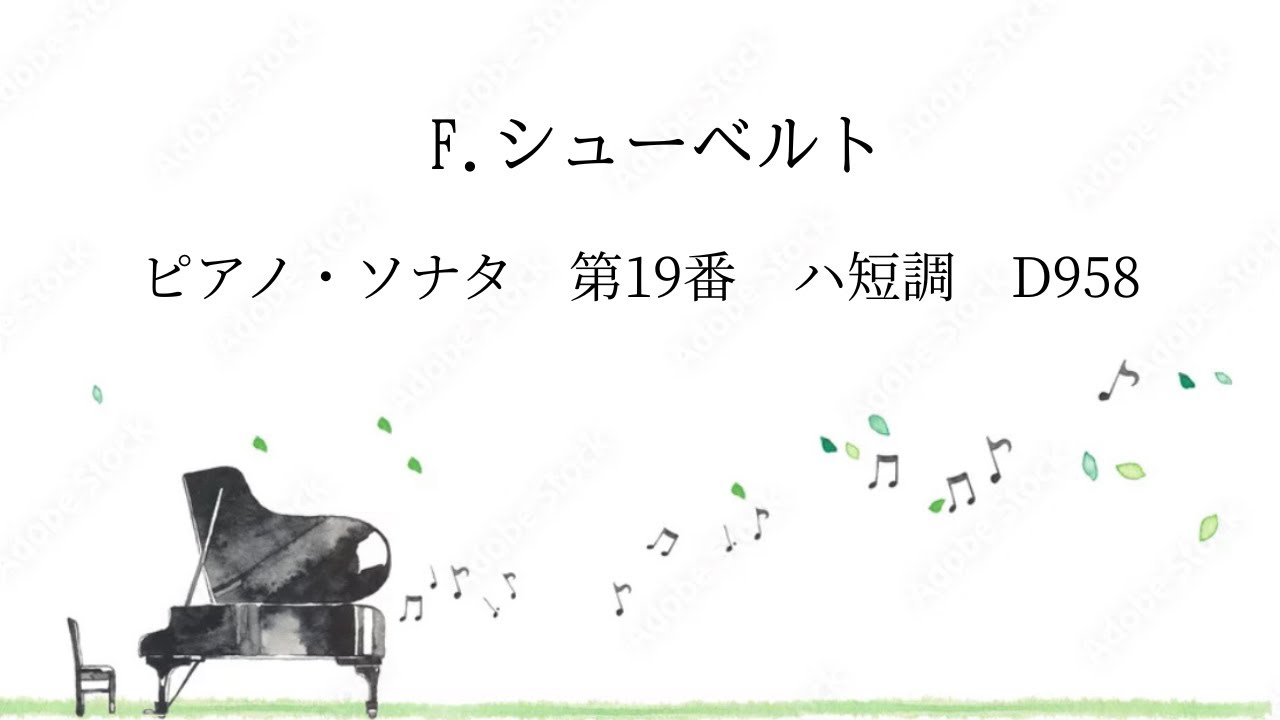 F.シューベルト／ピアノ・ソナタ　第19番　ハ短調　第1楽章  D 958