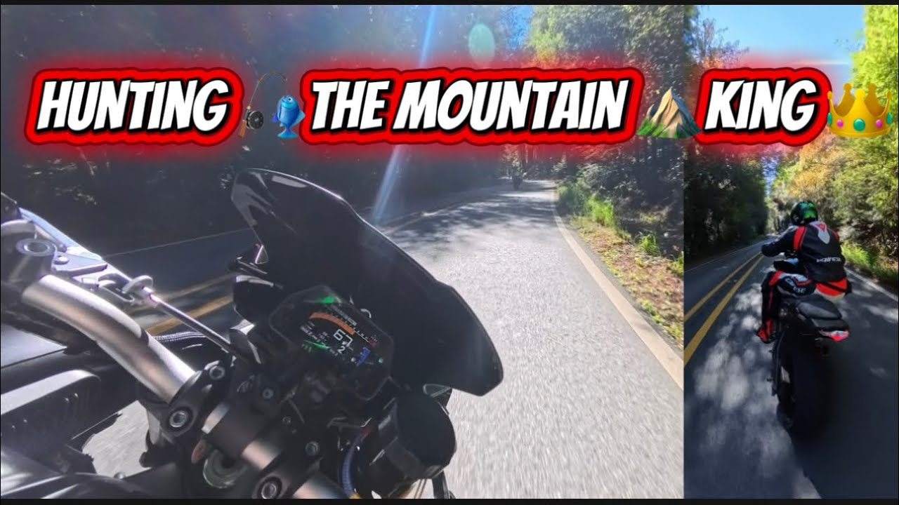 Hunting 🎣the Mountain ⛰️ King 👑 