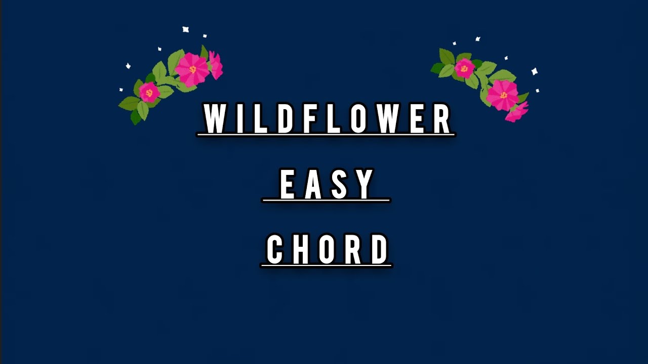 EASY CHORD WILDFLOWER BILLIE EILISH FOR GUITAR BEGINNER