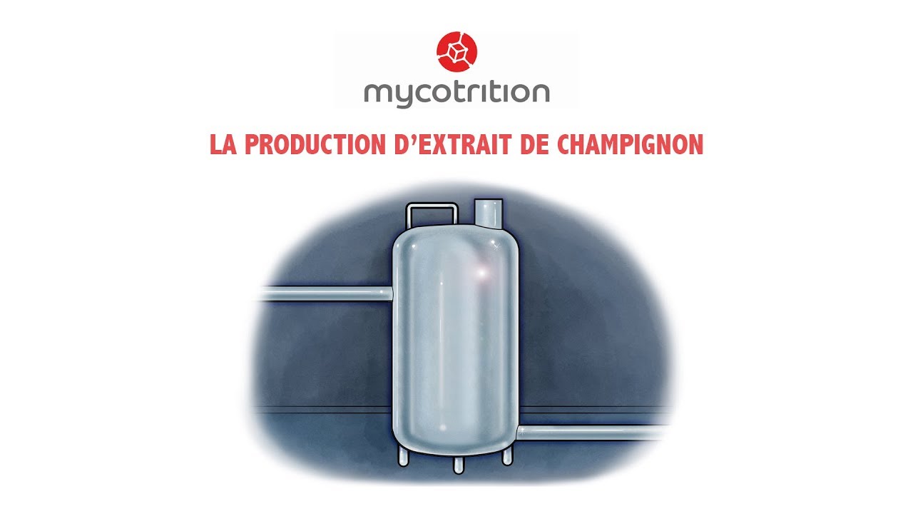 ChampignonVidéo 003 La production d'extrait de champignon
