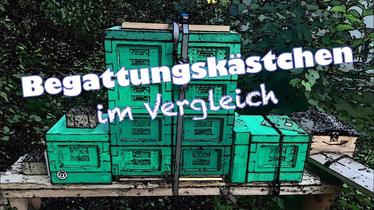 Begattungskästchen im Vergleich ! Imkern ! Bienen !