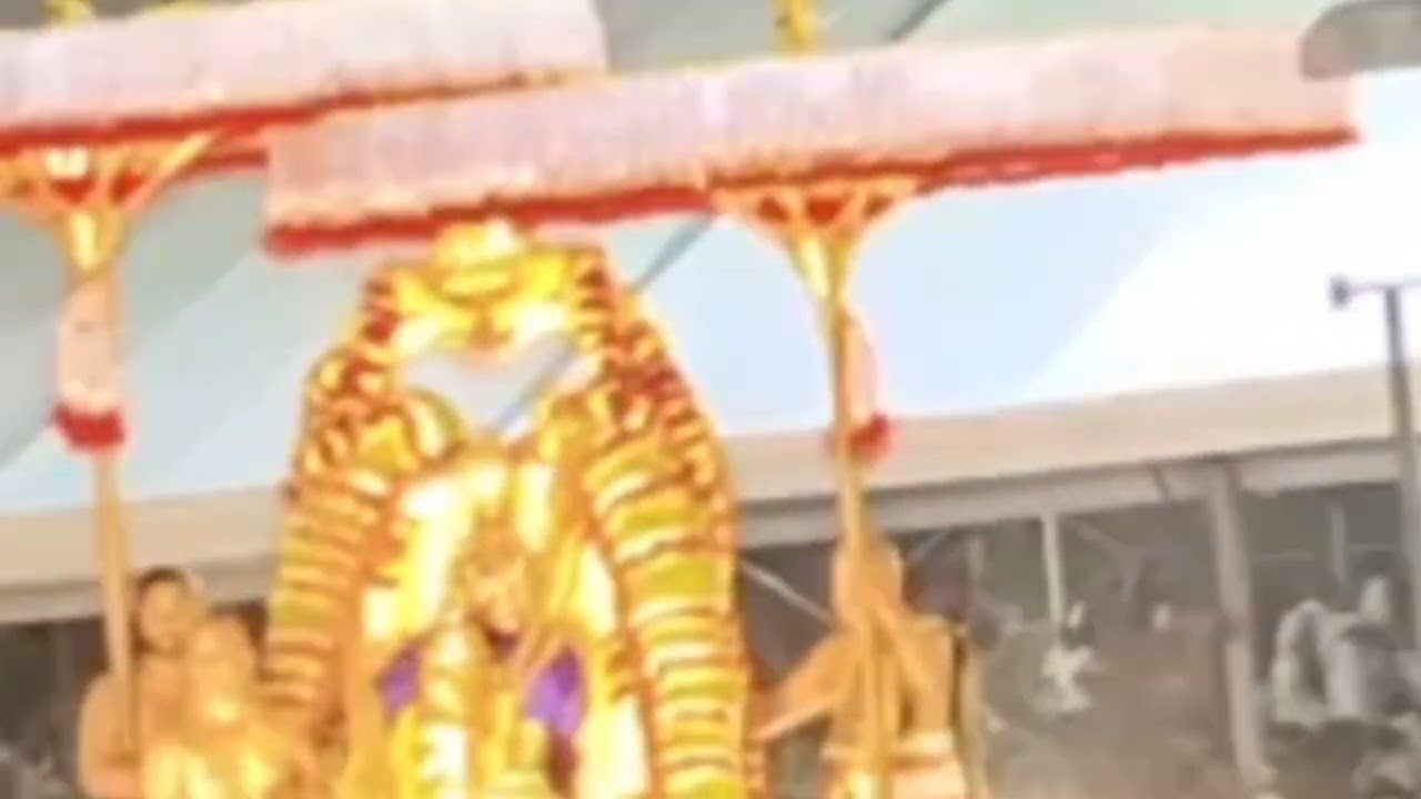 #తిరుమలలో మాఘ పౌర్ణమికి మాడ వీధుల్లో స్వామివారి గరుడ వాహనం ఊరేగింపు#trending#ytshorts 