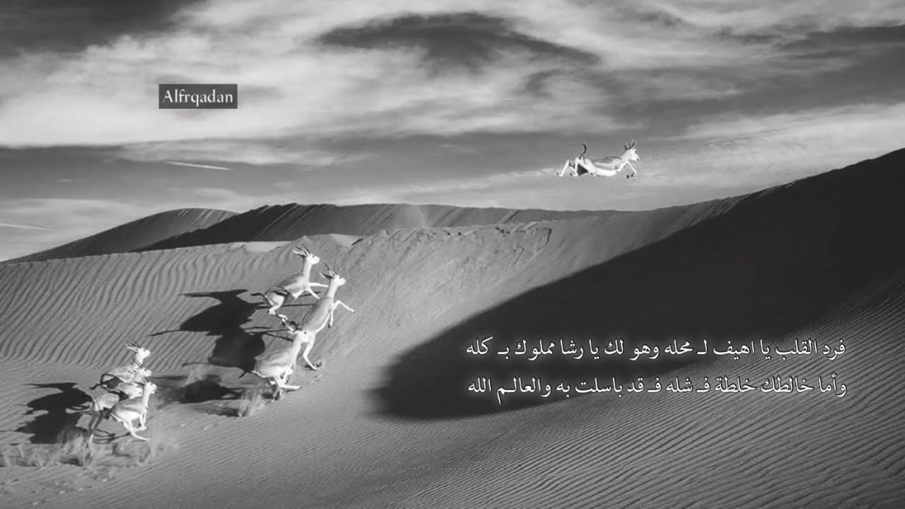 الحارثي - متى يبلغ محبك ما تمناه