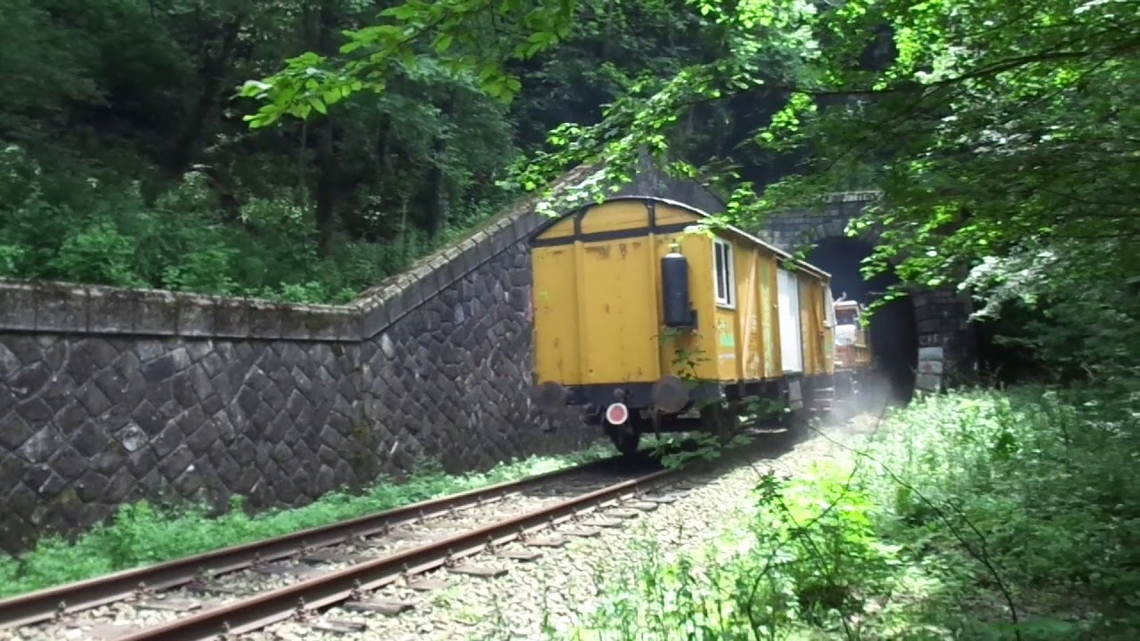 MUNTII PADUREA CRAIULUI,25 IUNIE 2019
