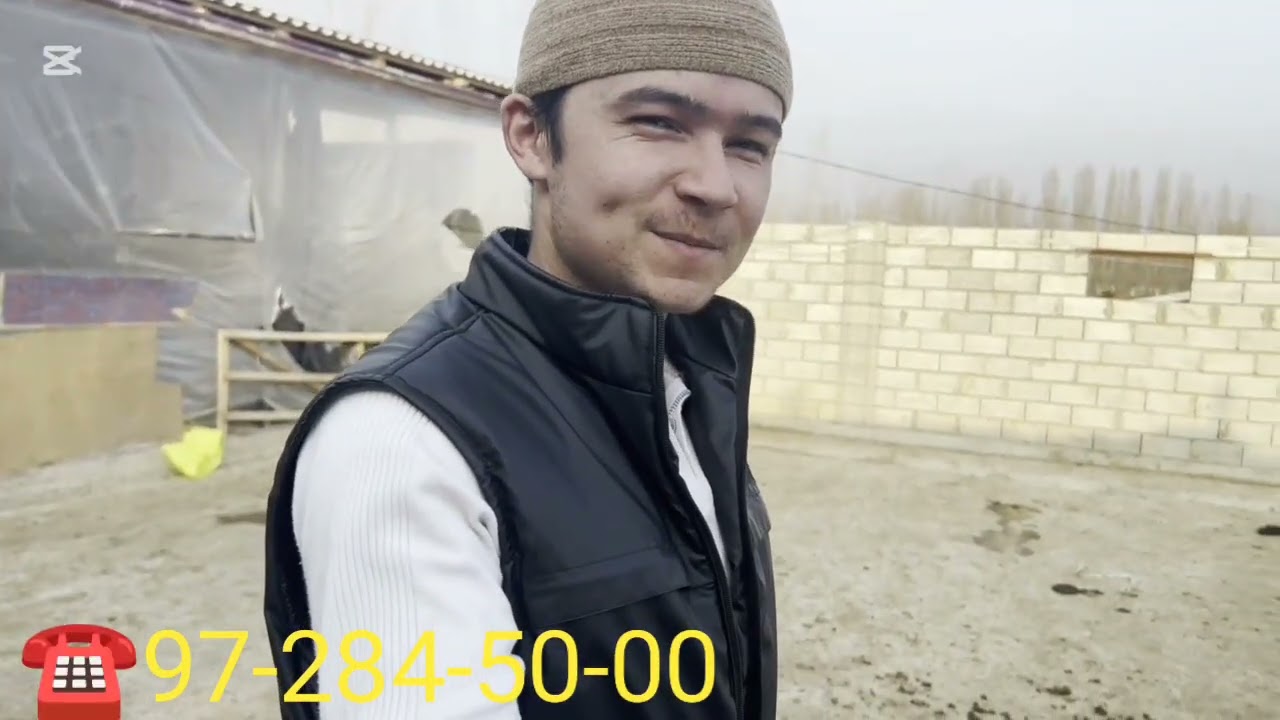 17-fevral, 2026