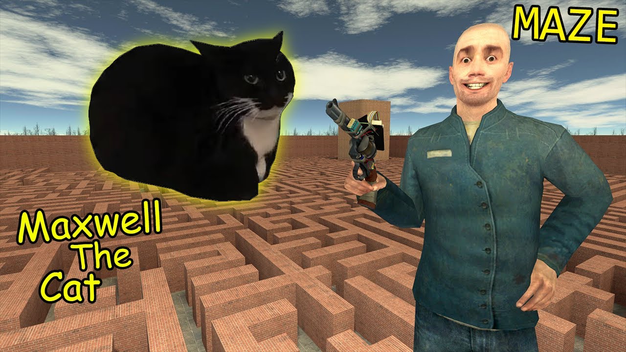 Never Go To Maze - Maxwell The Cat