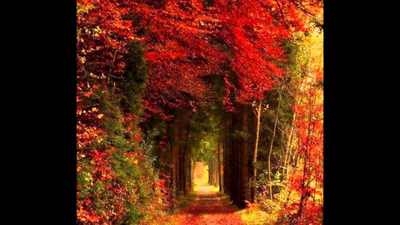 Paul Mauriat - Forever and Ever