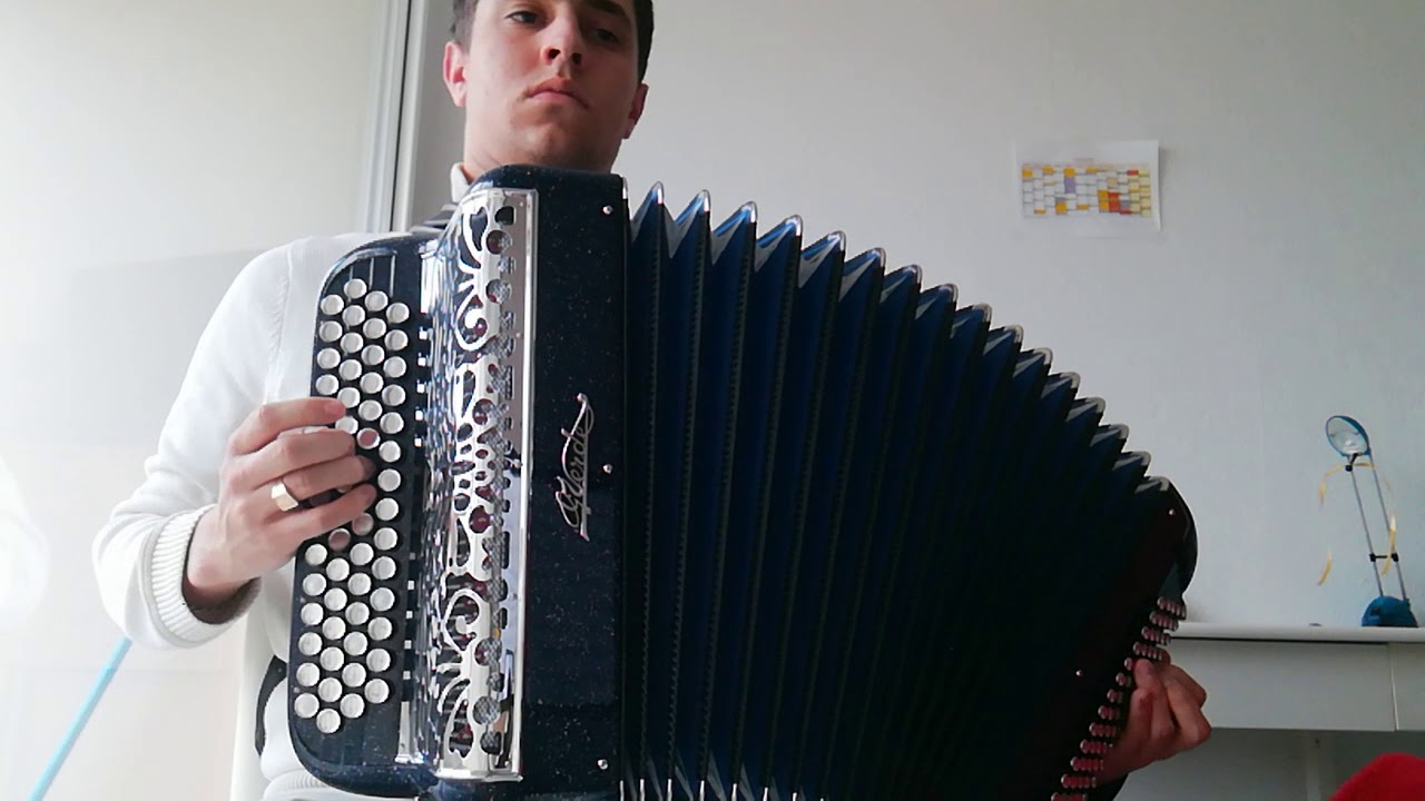 Hegoak (traditionnel Basque) Accordéon David acz