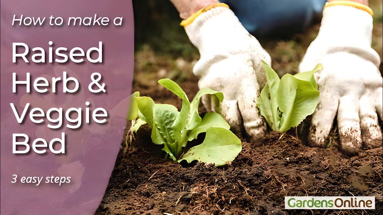 Making a Raised Herb and Vegetable Garden