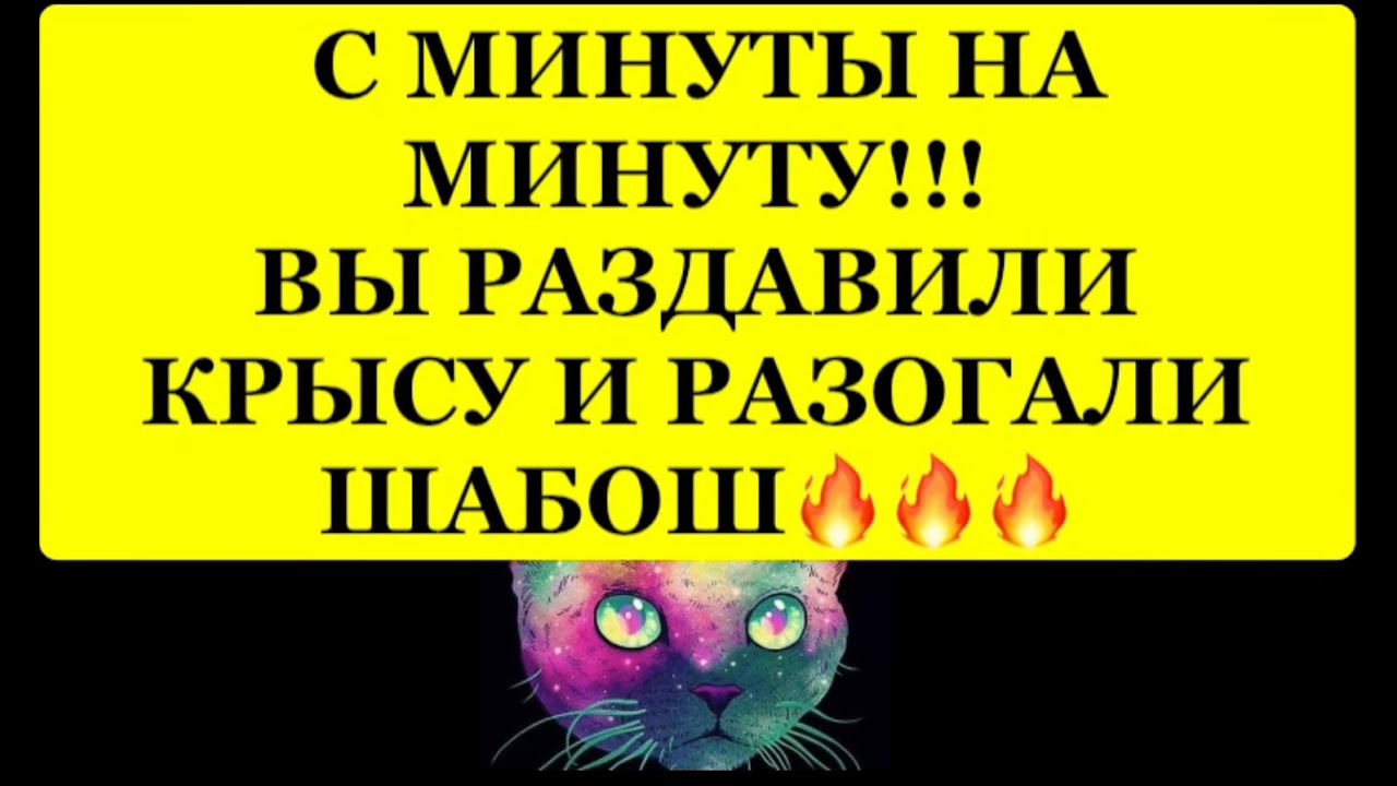 🔥С МИНУТЫ НА МИНУТУ❗️ ВЫ РАЗДАВИЛИ КРЫСУ И РАЗОГНАЛИ ШАБОШ⁉️⁉️🔥