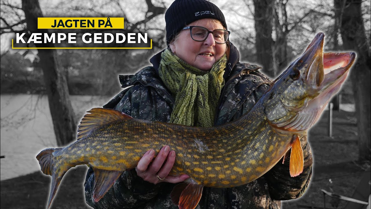 JAGTEN P&Aring; K&AElig;MPE GEDDEN -- Med Mormor p&aring; tur (#10)